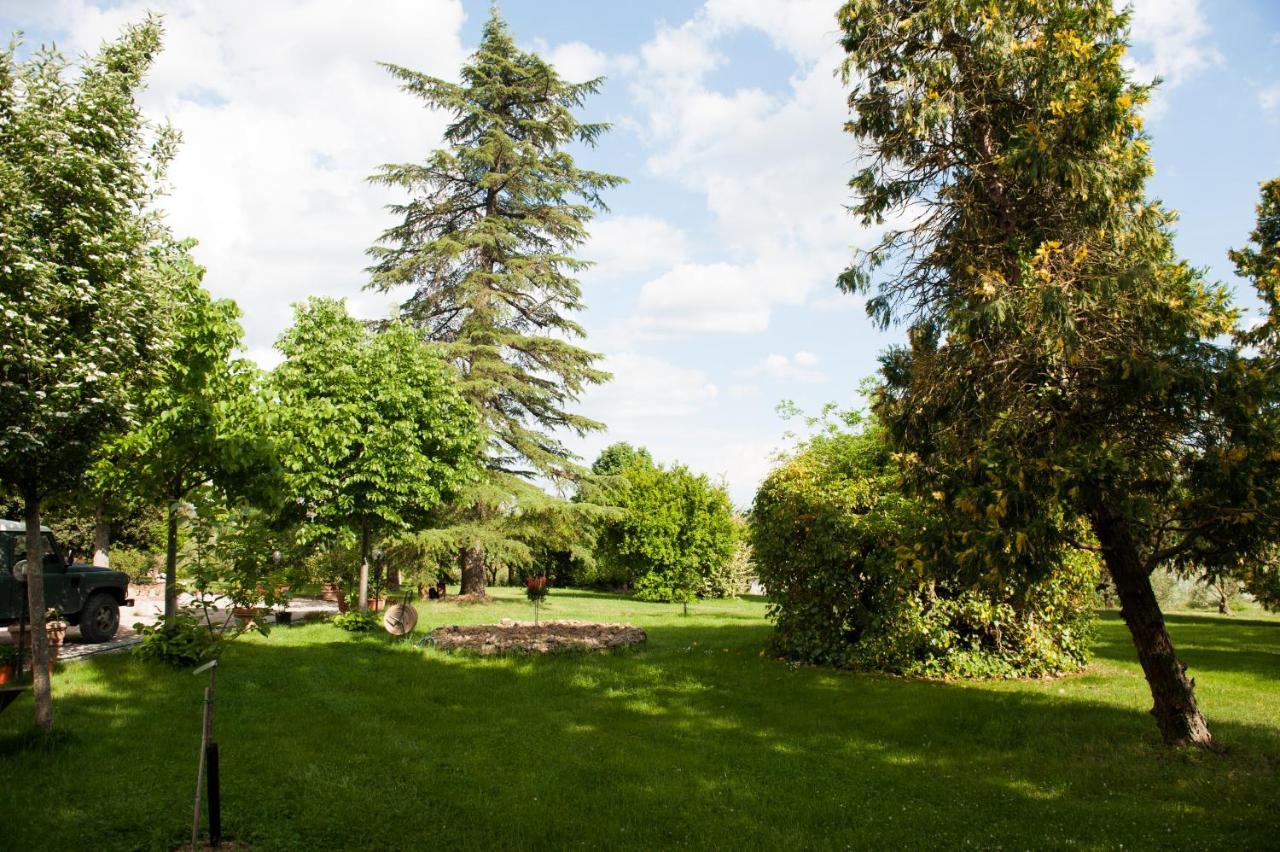 Agriturismo Villa La Morina Cortona Exterior foto